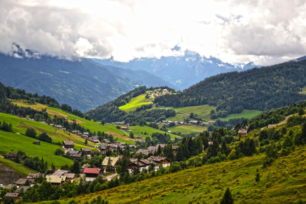 Agence Artis Albertville