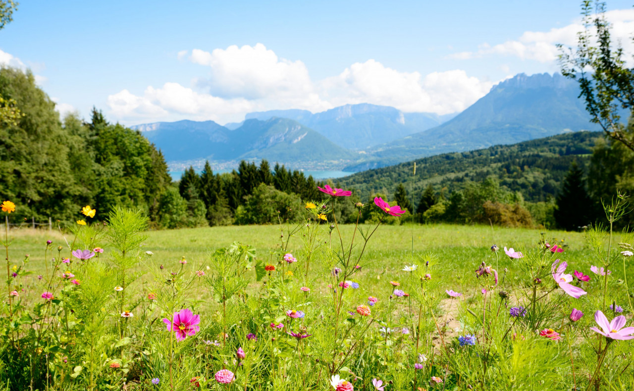 Choisir votre terrain