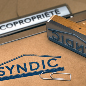 Gestionnaire de copropriété IRIA à Annecy (CDI)