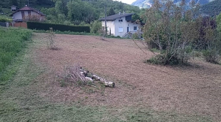 MAISON + TERRAIN 110m² - 385660€ - 2