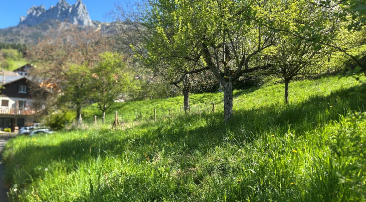 Maison 130 m² MONTMIN 132m² - 693250€ - 2