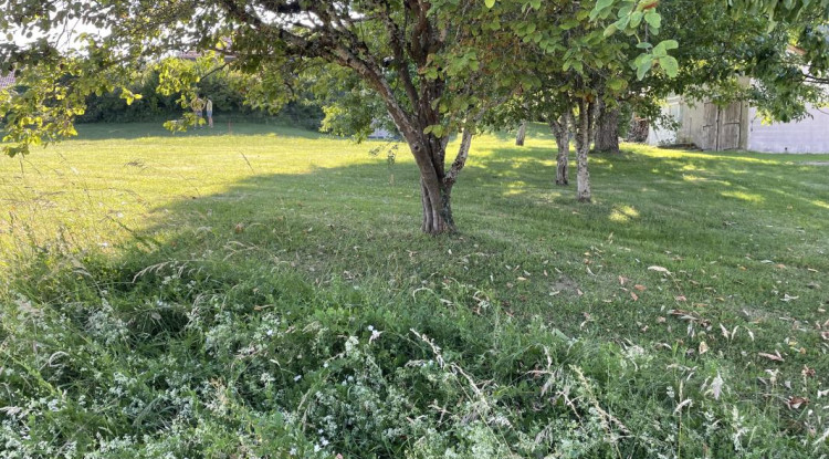 Un projet qui a de la hauteur à Cuvat ! 130m² - 887940€ 