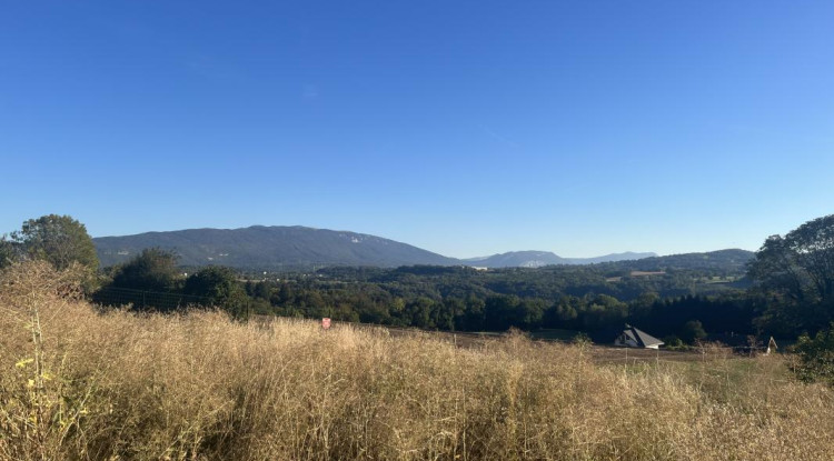 Panoramik 130m² - 721005€ - 6
