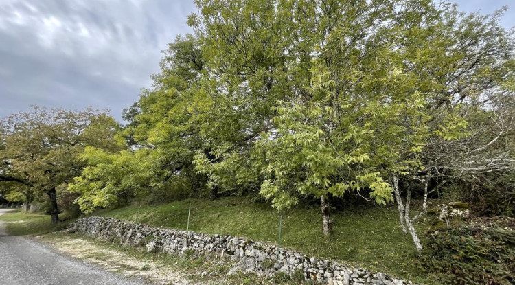 Sur mesure à Lovagny FCH 167m² - 1009125€ - 2
