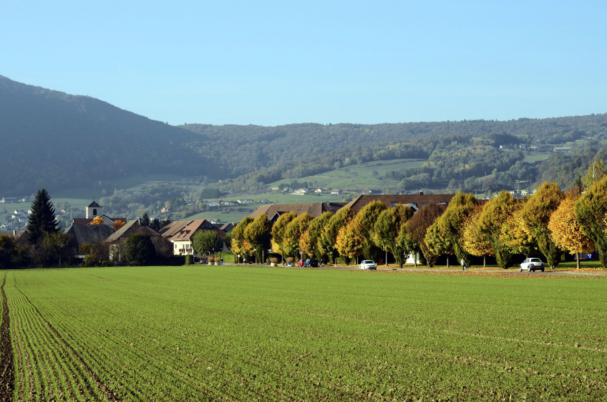 Ville d'Epagny Metz-Tessy | Haute-Savoie