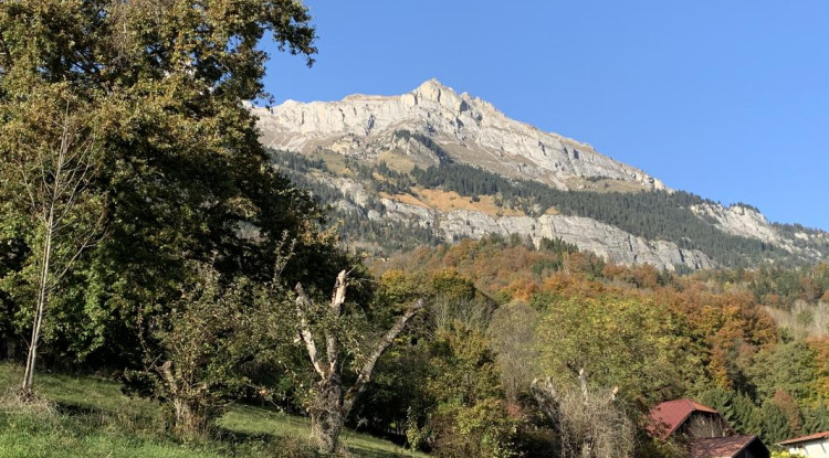 Sur le coteau de Passy, à deux pas du bourg : un chalet d’exception avec une vue imprenable sur le Mont-Blanc 122m² - 773000€ - 2