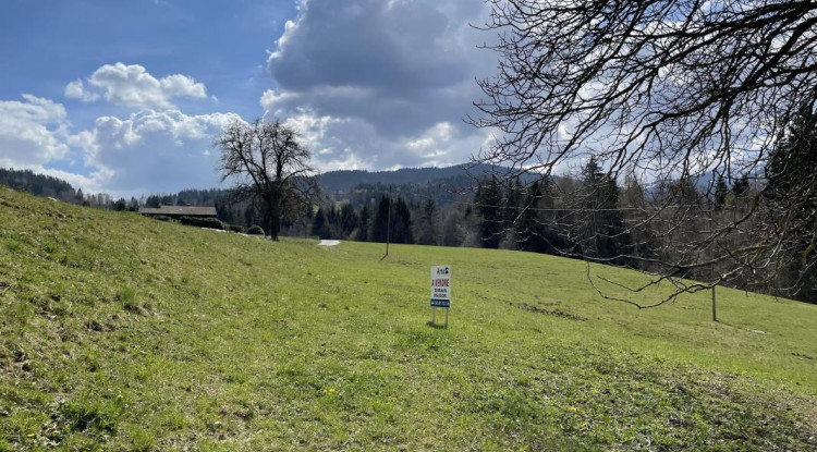 Cadre idyllique et tranquillité absolue, à proximité immédiate de Combloux 140m² - 695000€ - 3