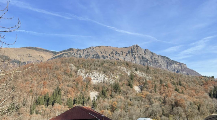 Votre maison ARTIS à Mieussy 121m² - 460930€ - 3