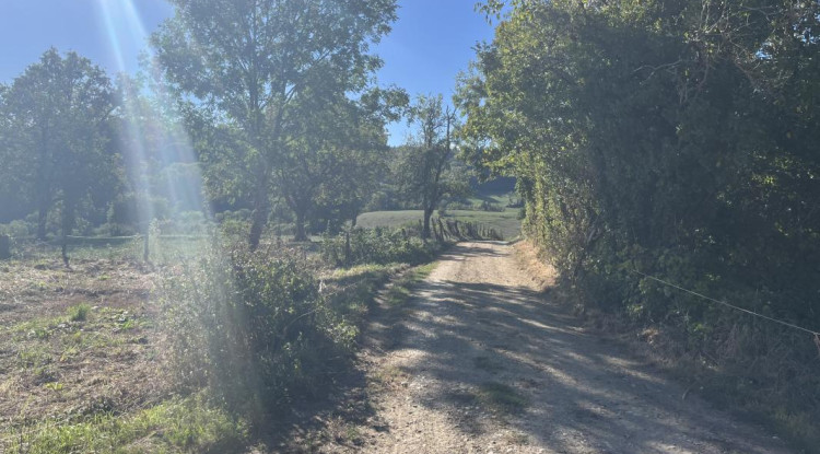 Panoramik 130m² - 557765€ - 3