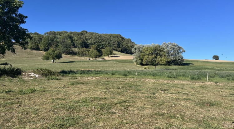 Panoramik 130m² - 557765€ - 9