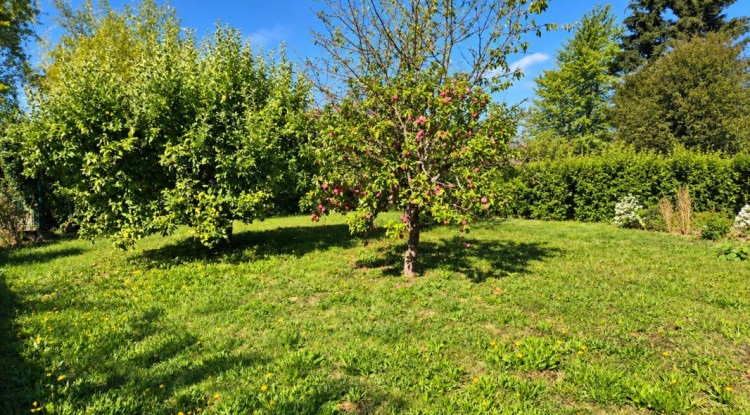 Maison individuelle de plain pied à Barby 92m² - 483200€ - 17