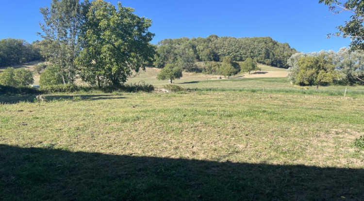 Panoramik 130m² - 557765€ - 4